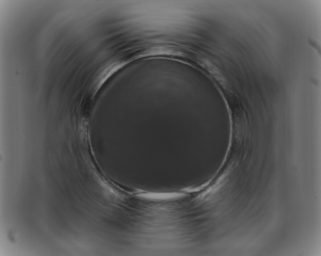 X0000097491369200803071730