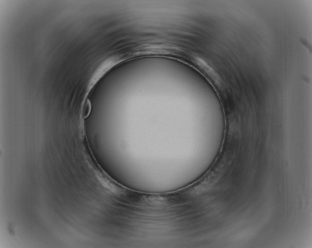 X0000097491370200803071730