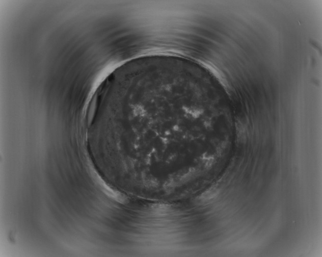 X0000097491371200803071729