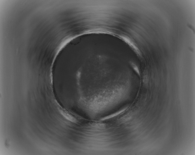 X0000097491372200803071729