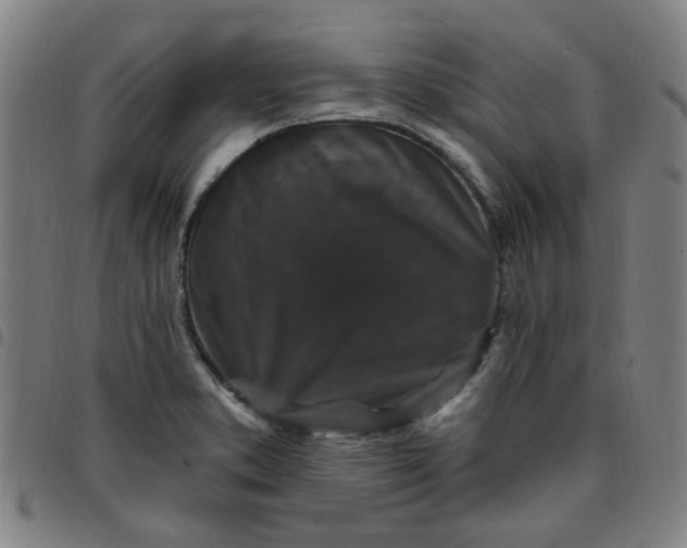 X0000097491373200803071729