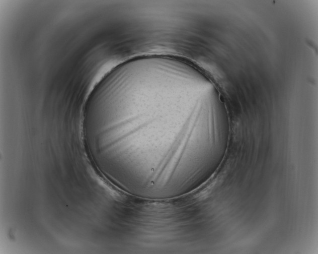 X0000097491374200803071729