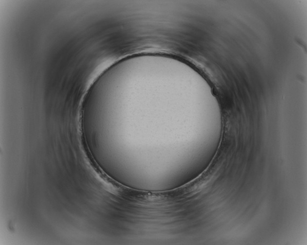 X0000097491375200803071729