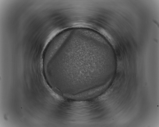 X0000097491376200803071729