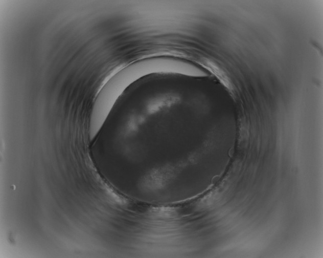 X0000097491377200803071729