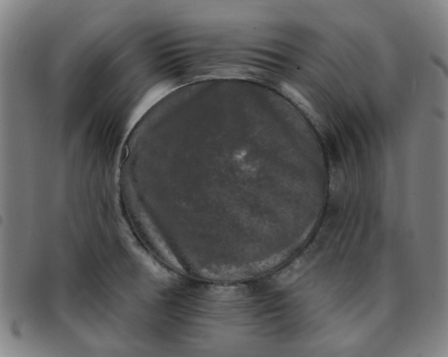 X0000097491378200803071729