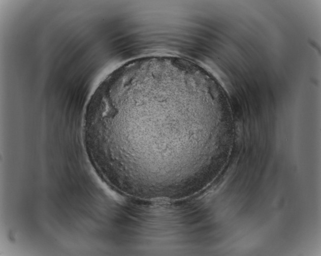 X0000097491379200803071729