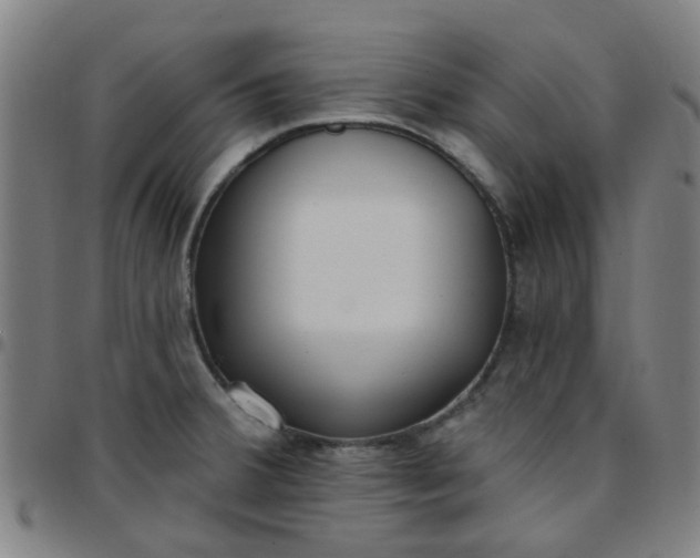 X0000097491380200803071729