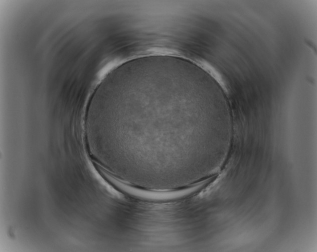 X0000097491381200803071729