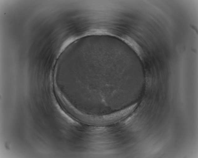 X0000097491382200803071729