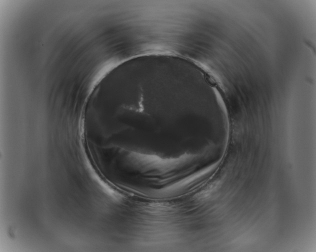 X0000097491383200803071729