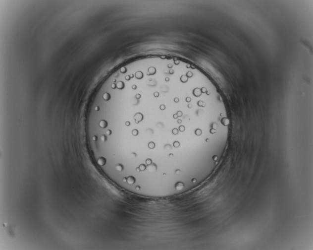 X0000097491384200803071729