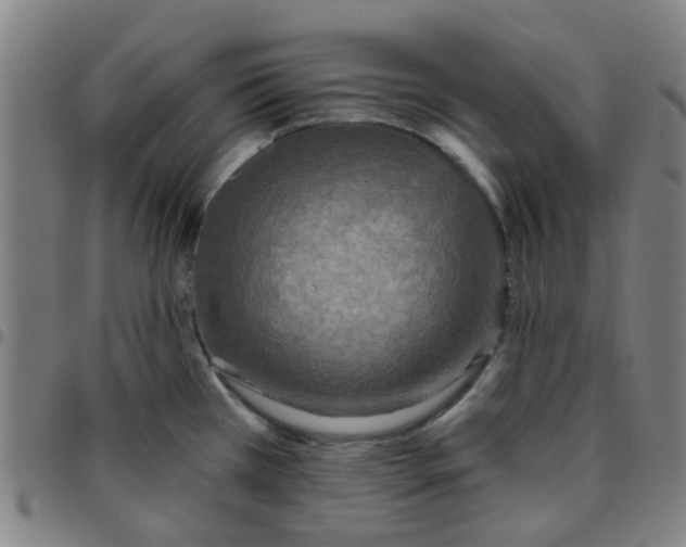 X0000097491385200803071729