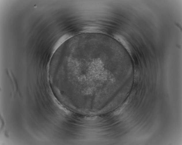 X0000097491386200803071729