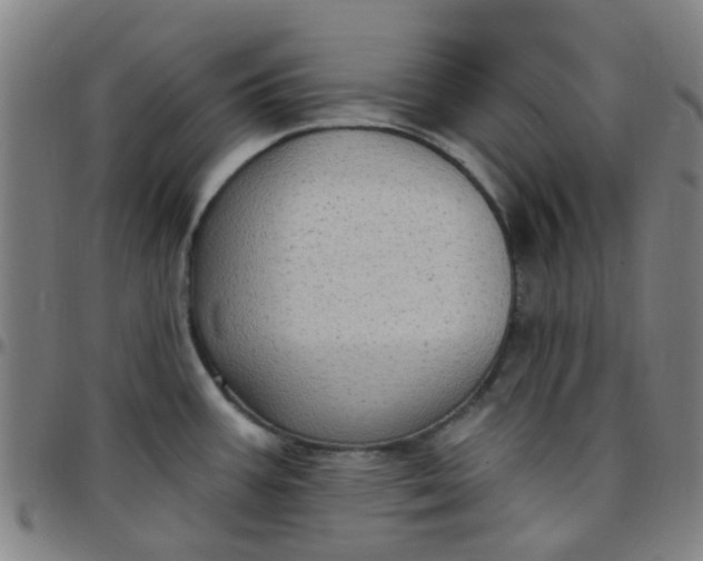 X0000097491387200803071729