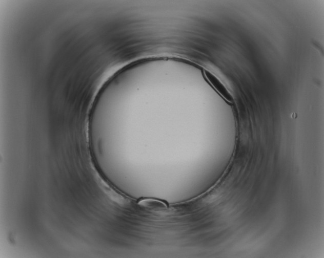 X0000097491388200803071729