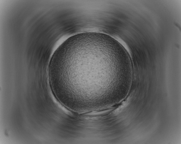 X0000097491389200803071729