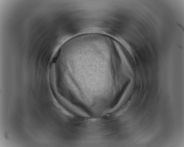 X0000097491390200803071729