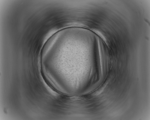 X0000097491391200803071729