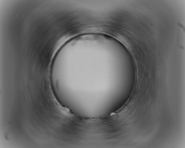 X0000097491392200803071729