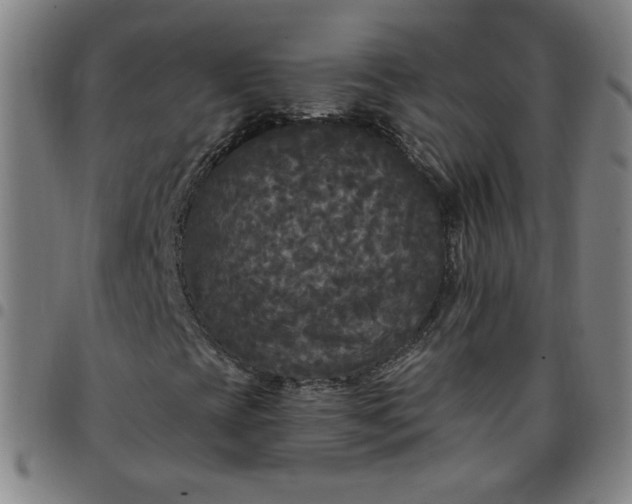 X0000097491393200803071728