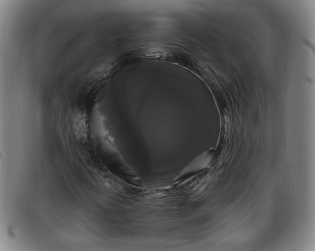 X0000097491394200803071728