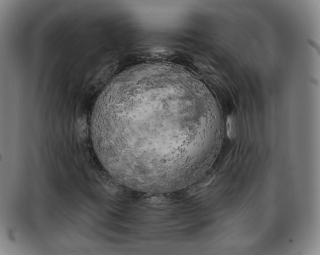 X0000097491395200803071728