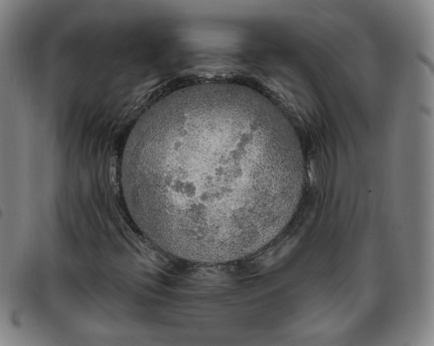 X0000097491396200803071728