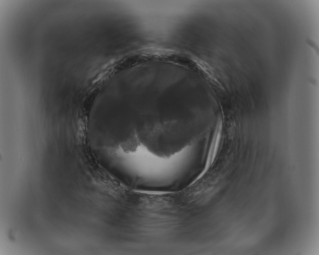 X0000097491397200803071728