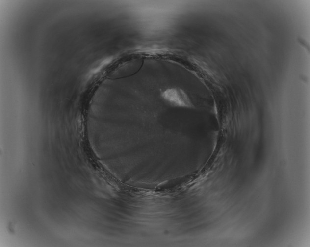 X0000097491398200803071728