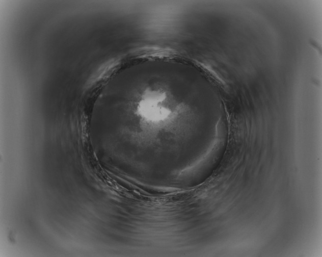 X0000097491399200803071728