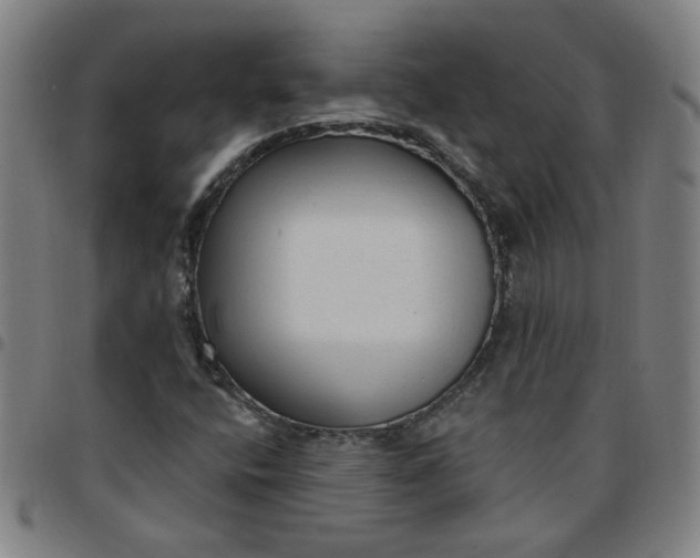 X0000097491400200803071728