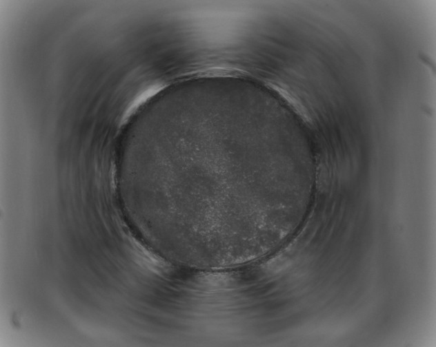 X0000097491402200803071728