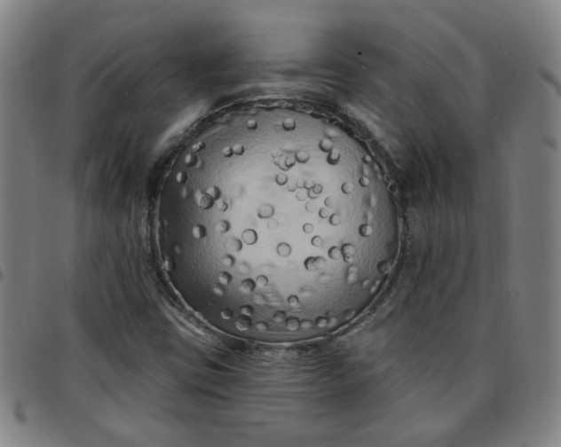 X0000097491403200803071729