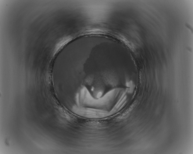 X0000097491405200803071729