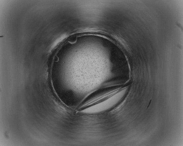 X0000097491406200803071729