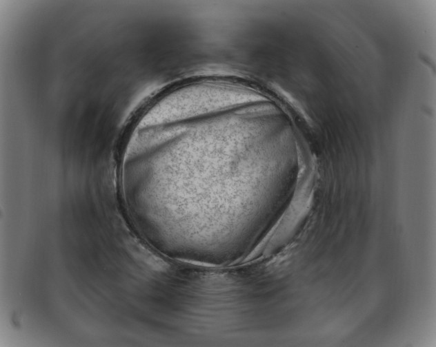 X0000097491408200803071729