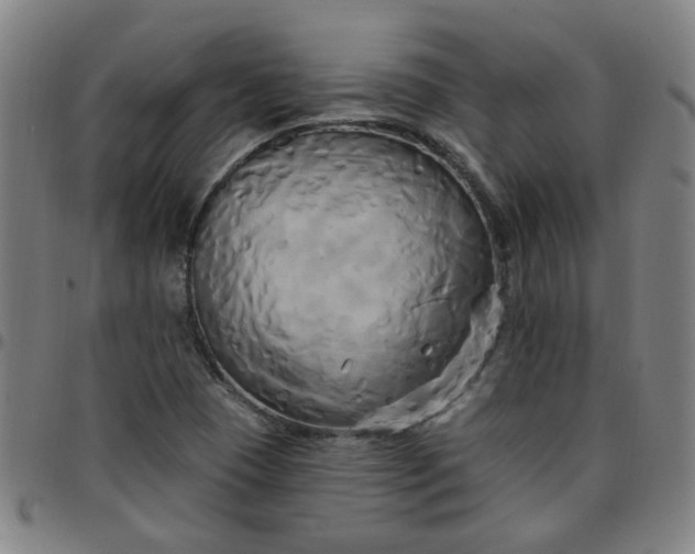 X0000097491409200803071729