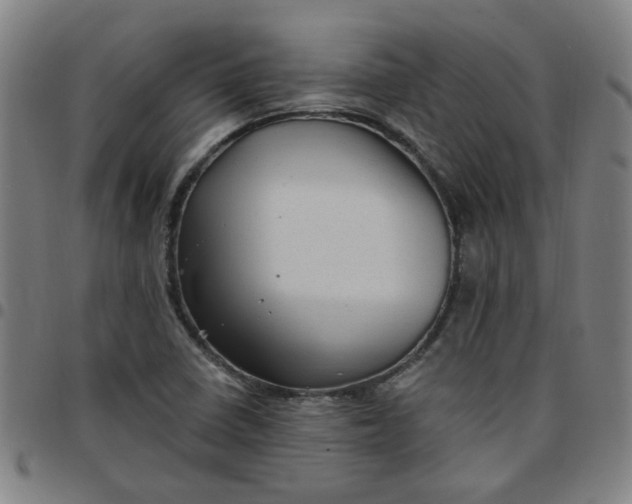 X0000097491410200803071729