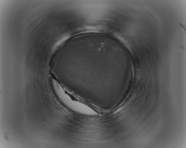 X0000097491411200803071729