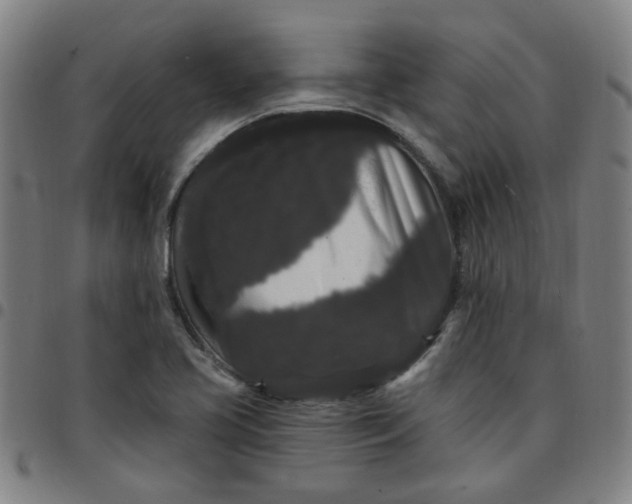 X0000097491413200803071729