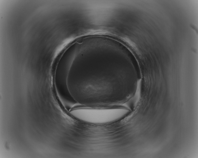 X0000097491414200803071729