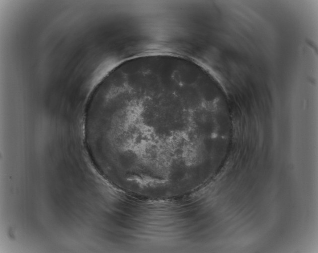 X0000097491415200803071729