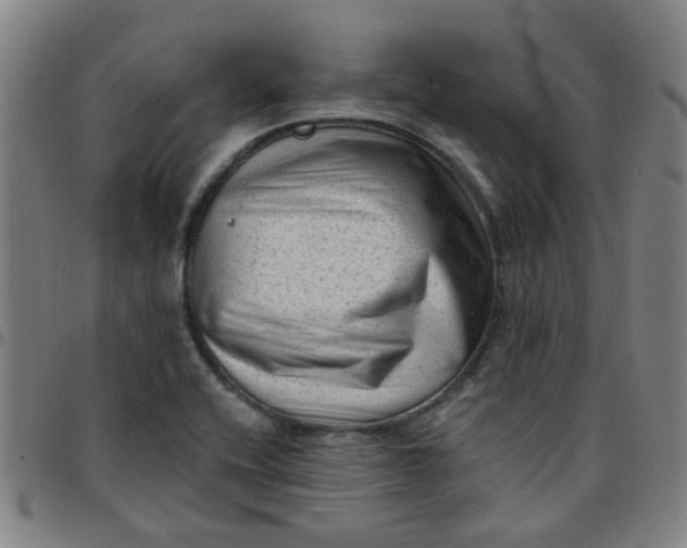 X0000097491416200803071729