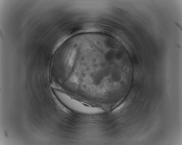 X0000097491417200803071729