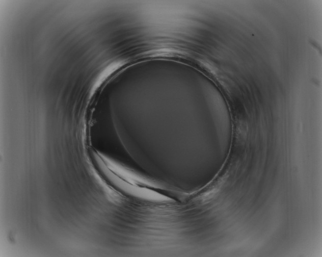 X0000097491418200803071729