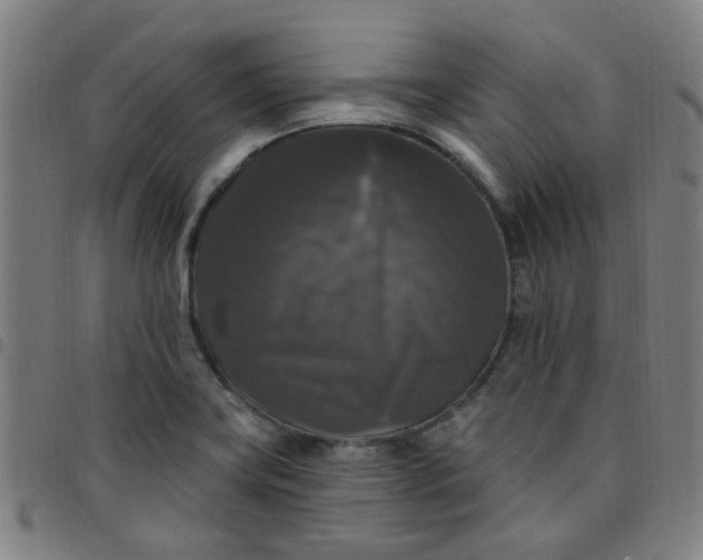 X0000097491419200803071729