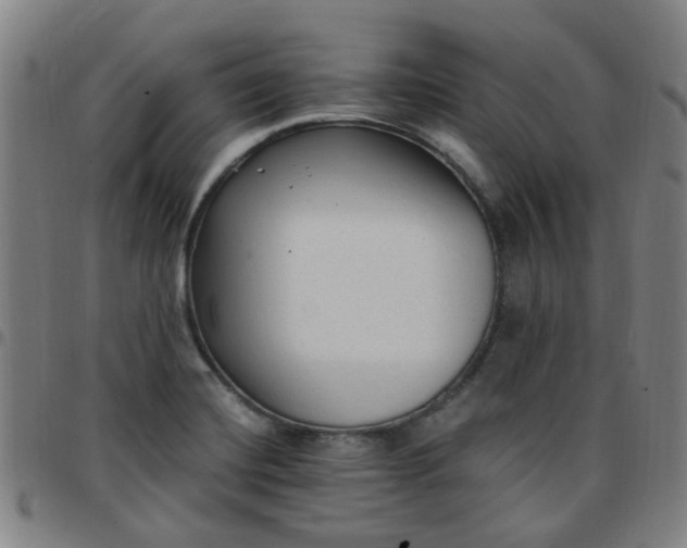 X0000097491420200803071729