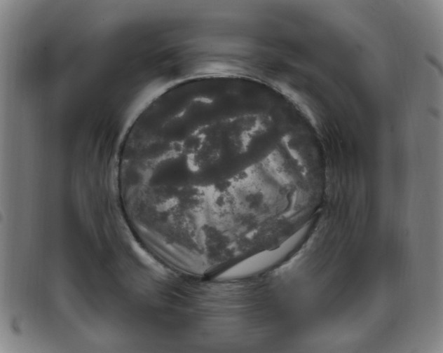 X0000097491421200803071729