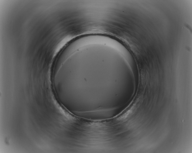 X0000097491422200803071729